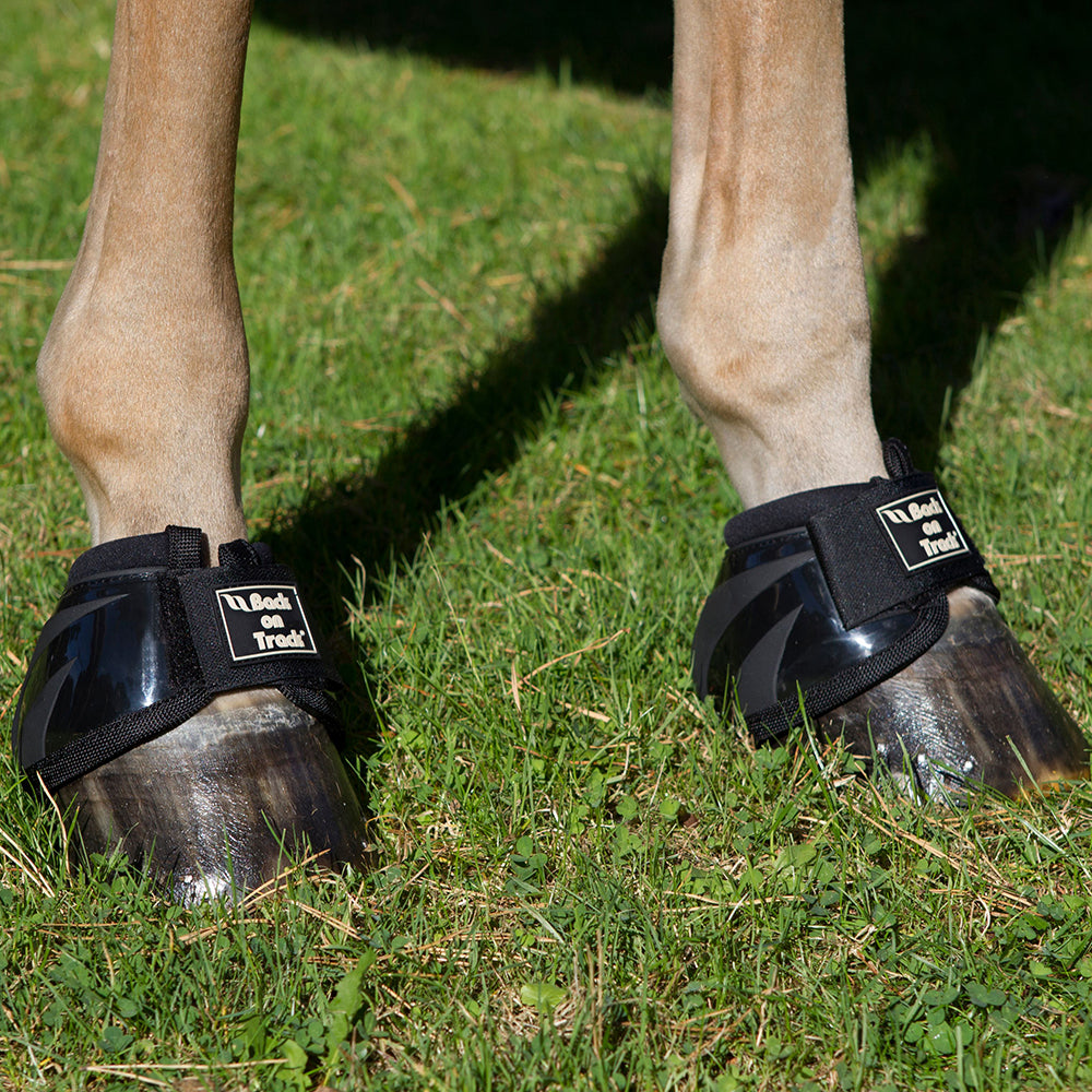 Back on Track® Royal Performance Bell Boots