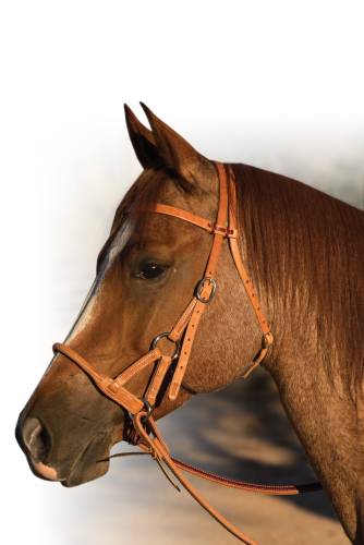 Professional’s Choice Round Leather Nose Side Pull