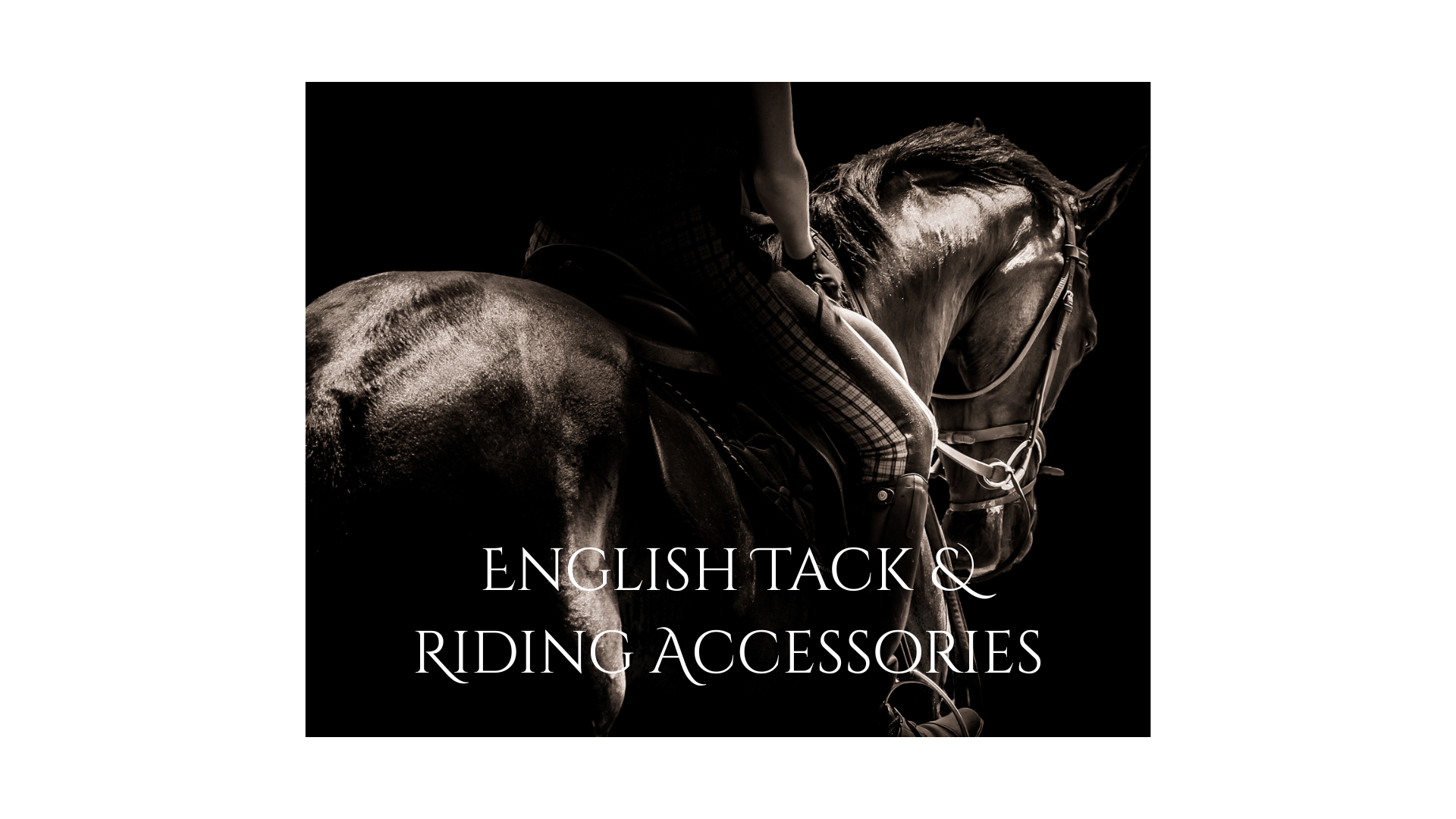 English Tack & Riding Accessories – Spirit of the Horse Ltd.