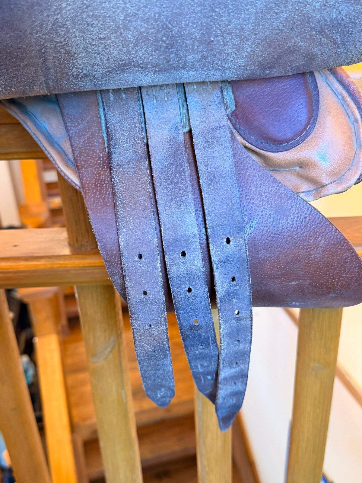 Barnsby 16" English Saddle | Heartland TV Set
