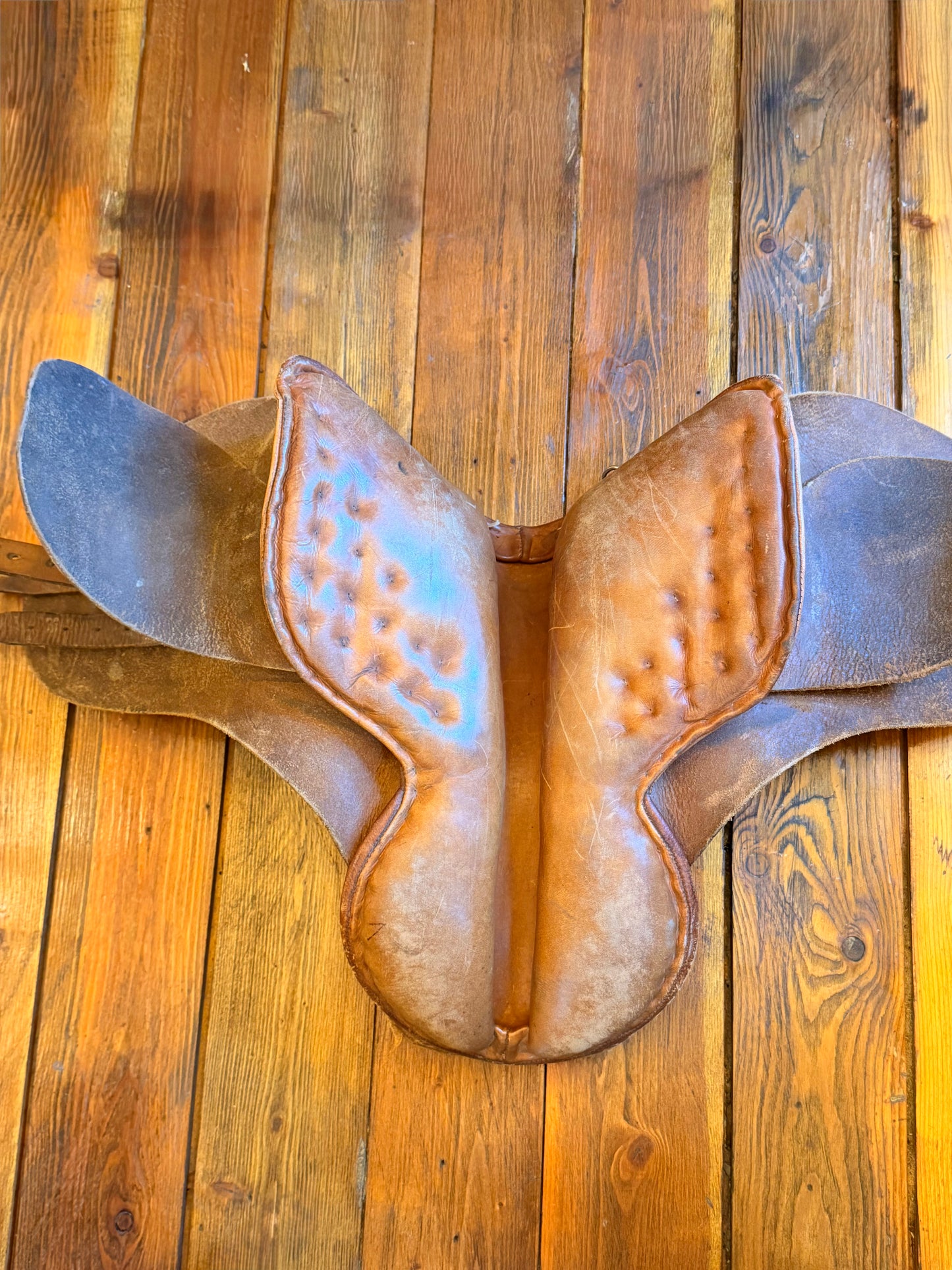 Barnsby 16" English Saddle | Heartland TV Set
