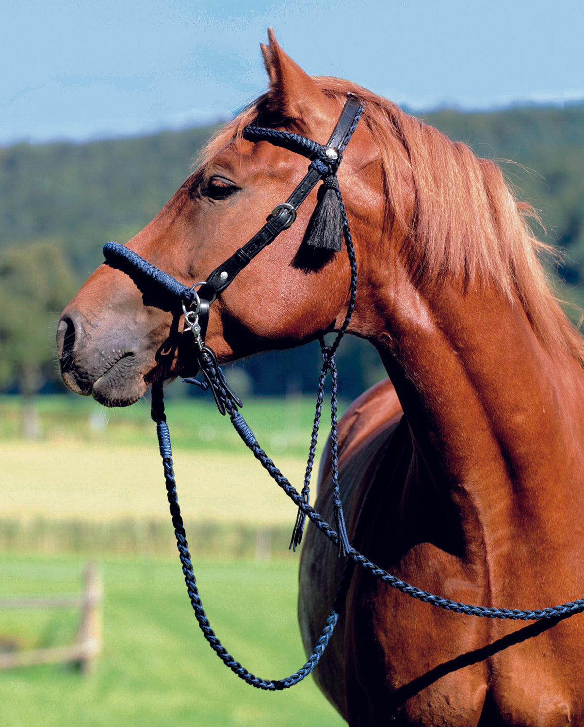 Barefoot® 'Amber' 2-in-1 Bitless Bridle