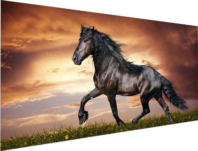 Spirit Horse Diamond Bead Art Kits