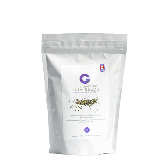 G's Pure Organic Chia Seeds