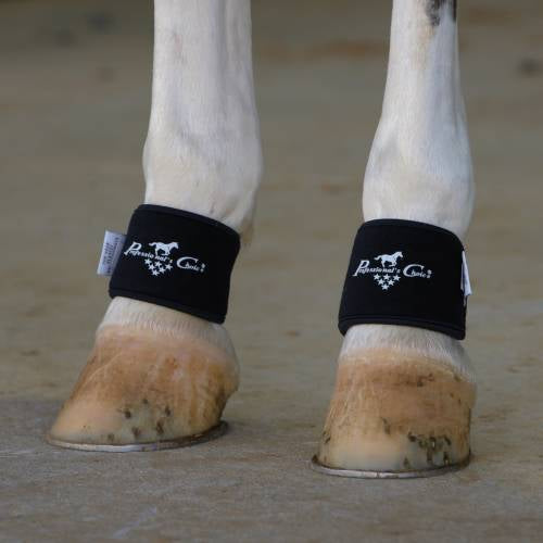 Professional’s Choice 2XCOOL Pastern Wraps