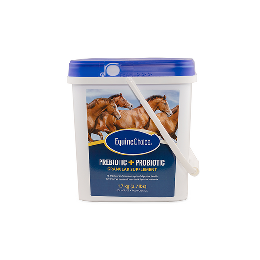 Equine Choice Pre & Probiotic Supplement