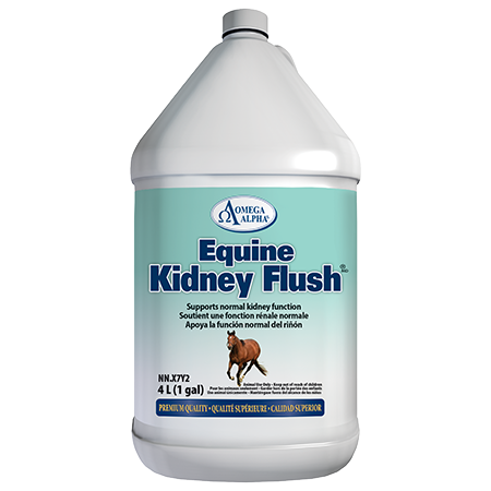 Omega Alpha Equine Kidney Flush®