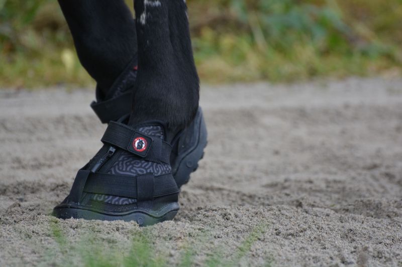 Equine Fusion Recovery Shoe 2.0