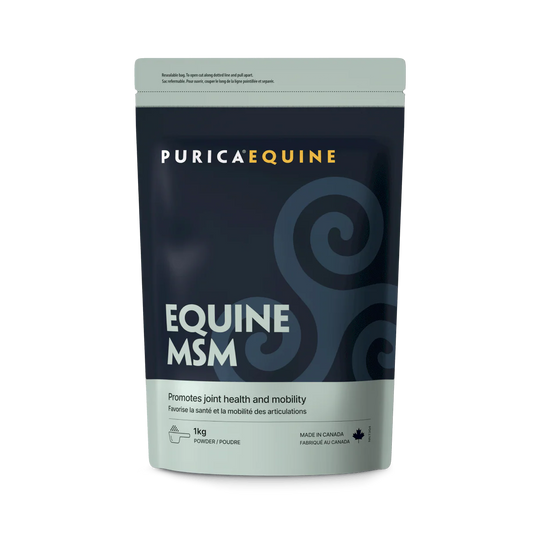 Purica Equine MSM