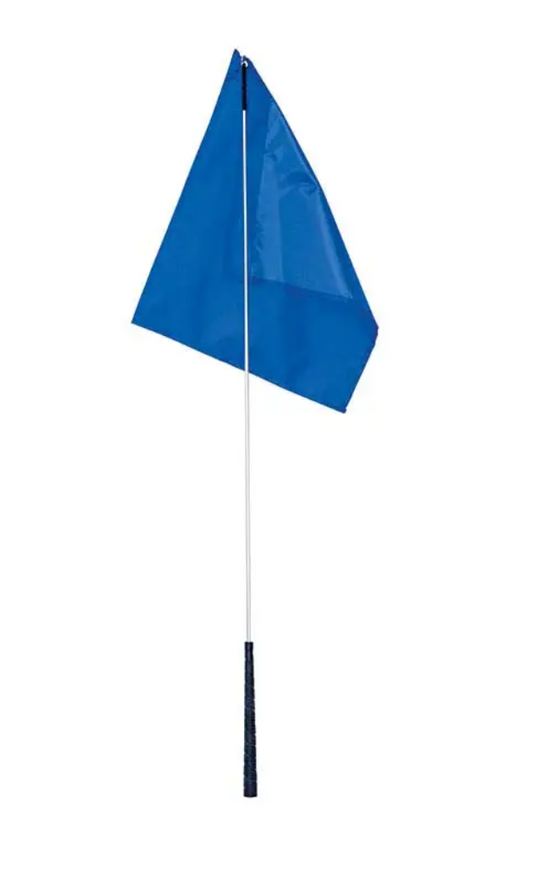Desensitizing Training Flag