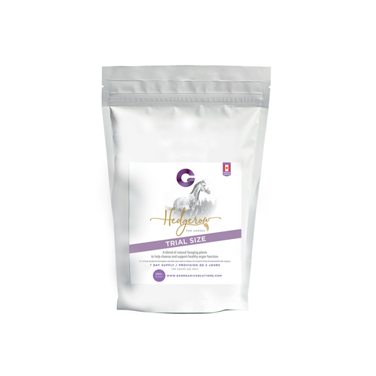 G's Hedgerow for Horses