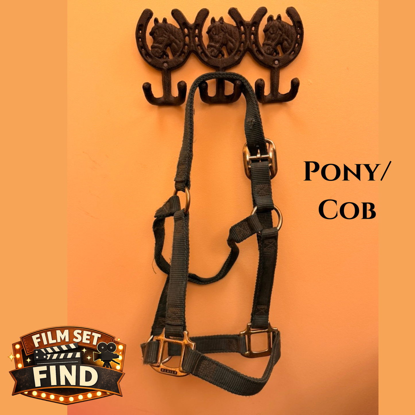 Film Set Nylon Halters