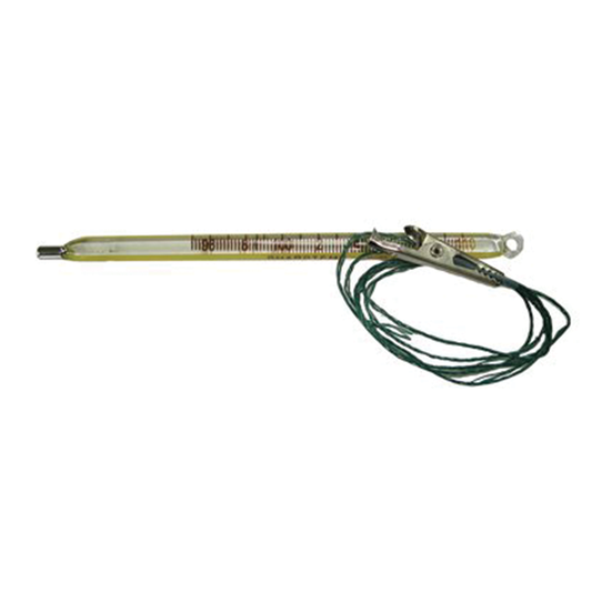 Mercury Thermometer