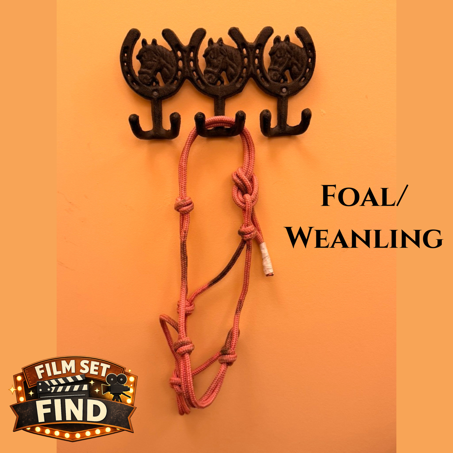 Film Set Nylon Halters
