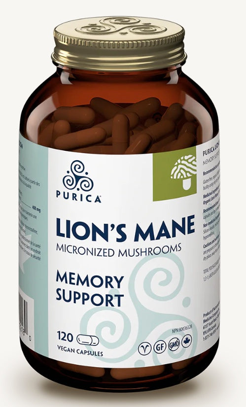 Purica Lion's Mane (Human)