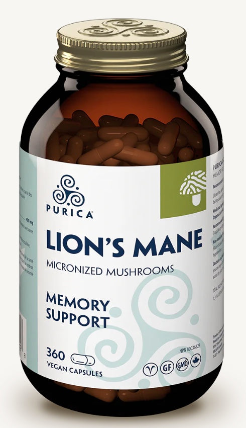 Purica Lion's Mane (Human)