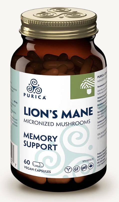 Purica Lion's Mane (Human)