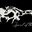 Spirit of the Horse Bragg Creek logo