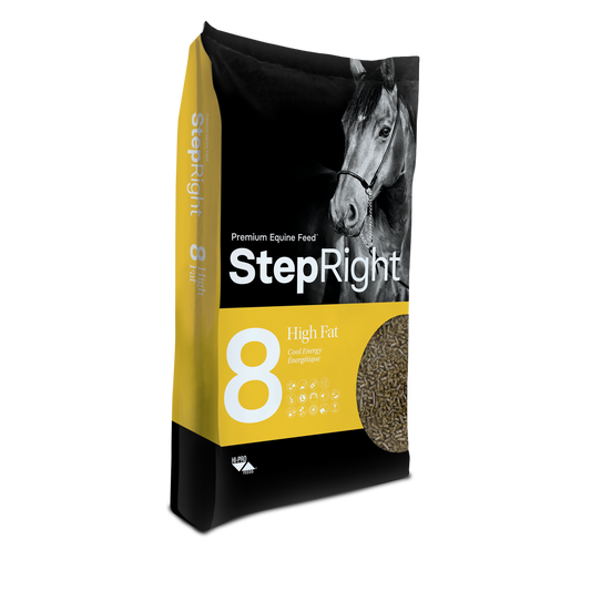 Step 8 - Cool Energy