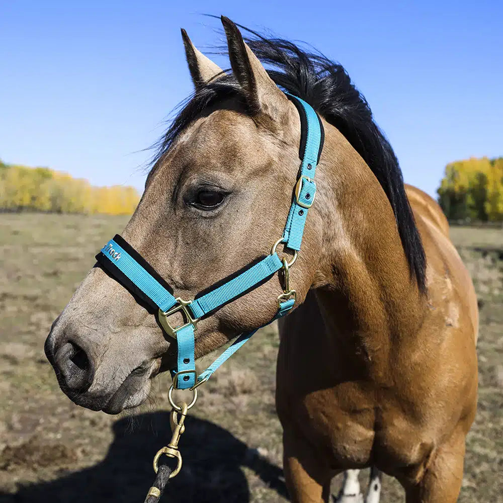Back on Track® Werano Halter