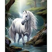 Spirit Horse Diamond Bead Art Kits