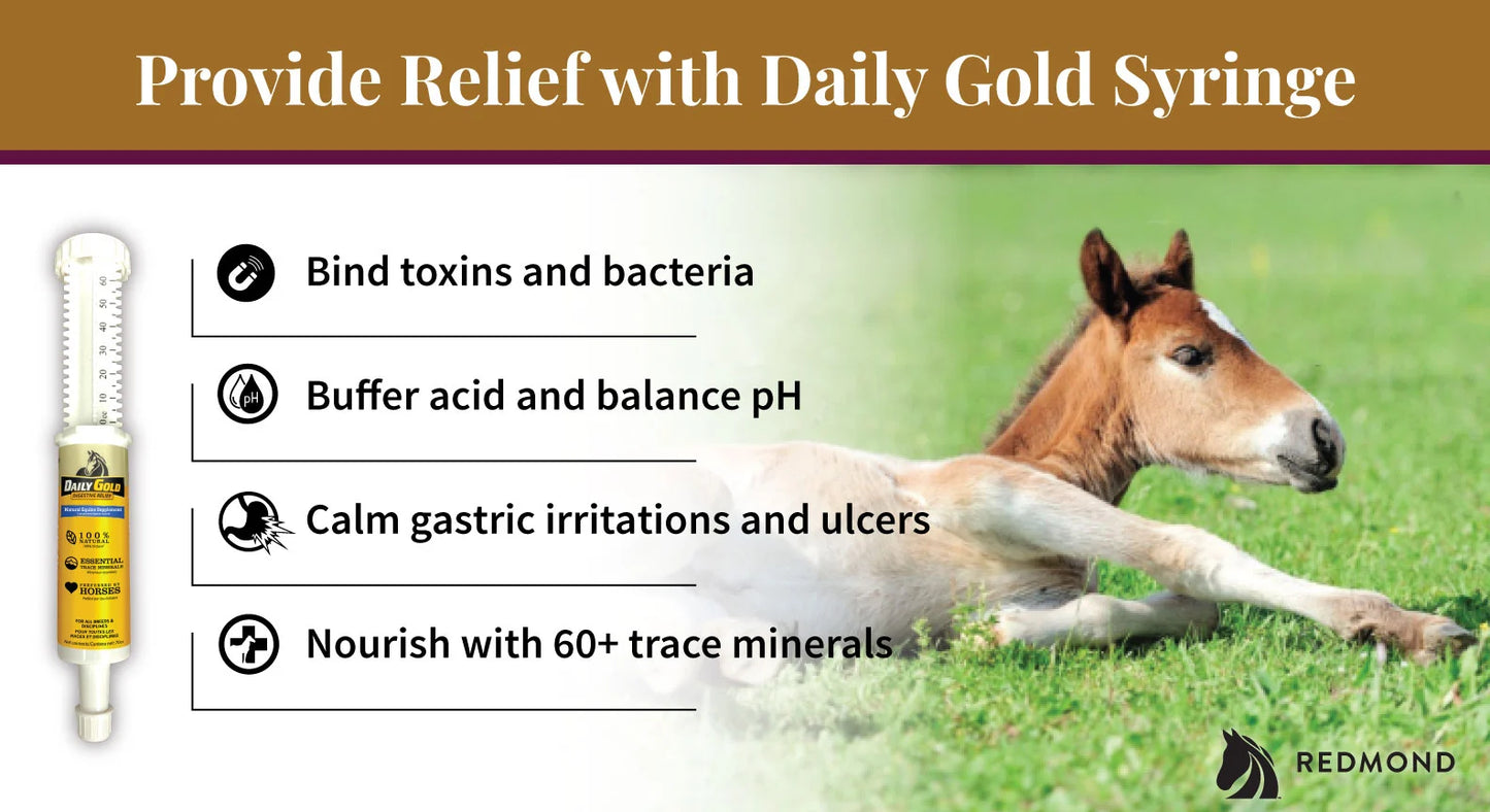 Redmond DAILY GOLD® - DIGESTIVE STRESS RELIEF HORSE PASTE