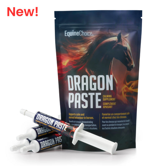 Equine Choice Dragon Paste Calming Supplement
