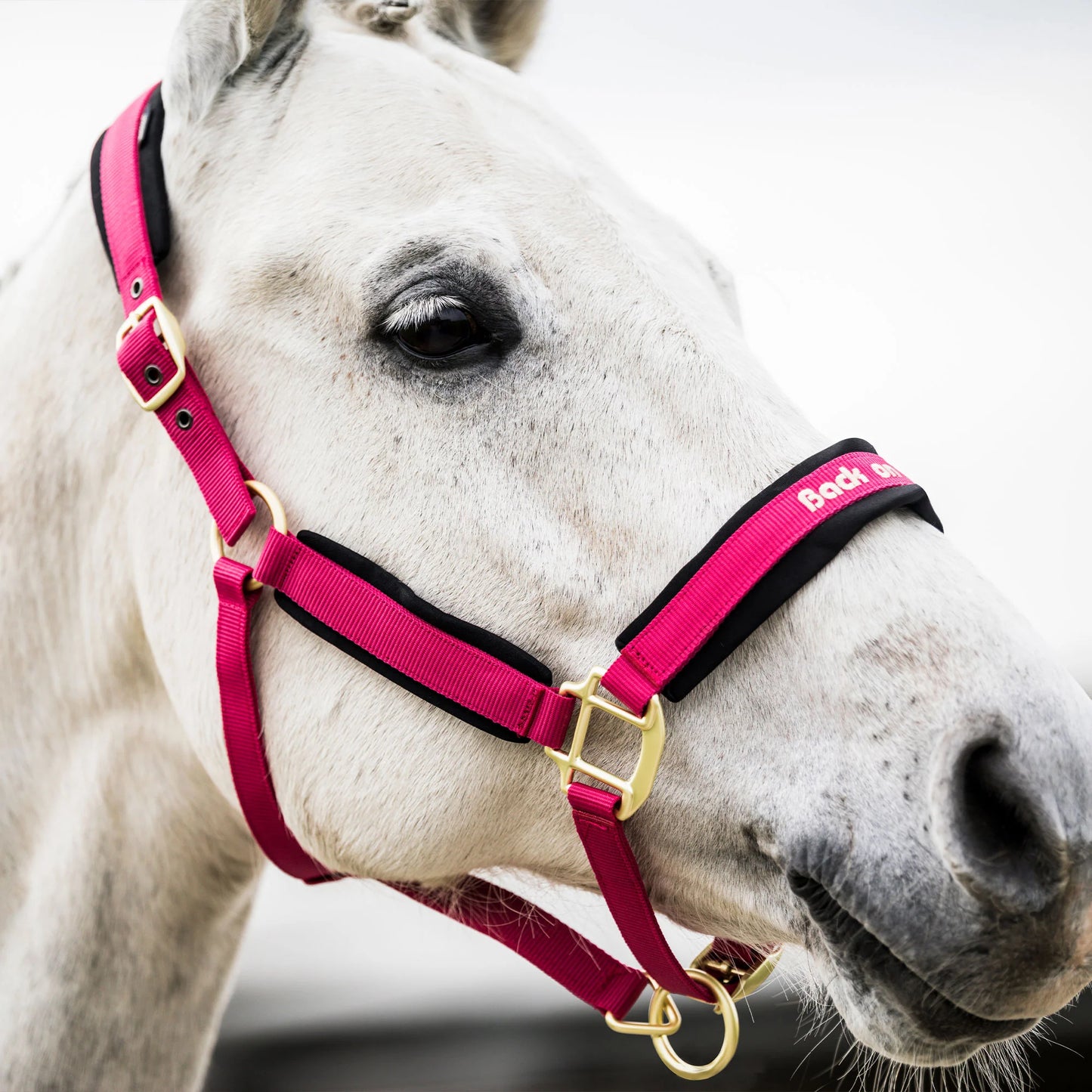 Back on Track® Werano Halter