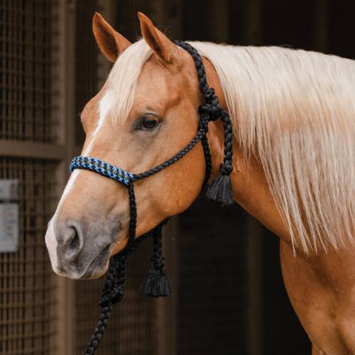 Professional’s Choice Braided Woven Rope Halter with Lead