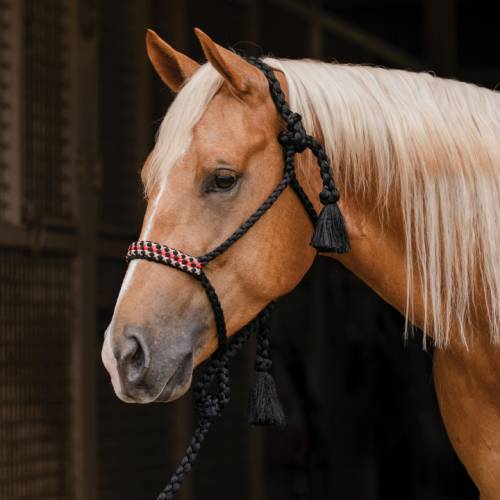 Professional’s Choice Braided Woven Rope Halter with Lead