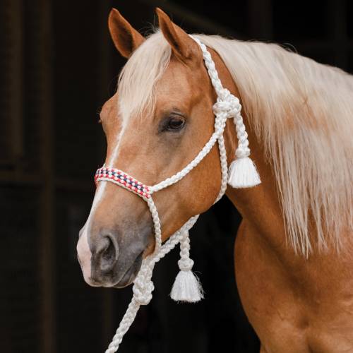 Professional’s Choice Braided Woven Rope Halter with Lead