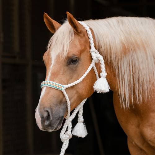 Professional’s Choice Braided Woven Rope Halter with Lead